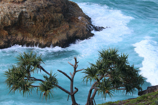 What exactly does "Coastal Quality" mean?