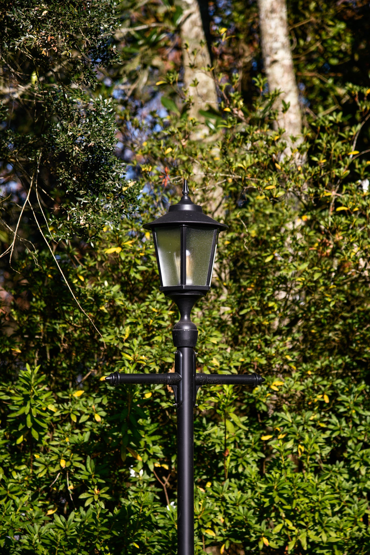 Constantia Column