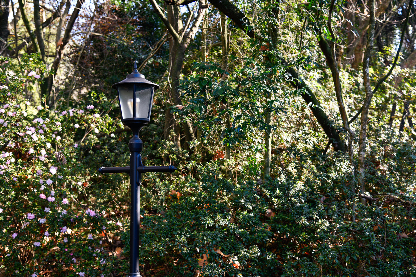 Constantia Column