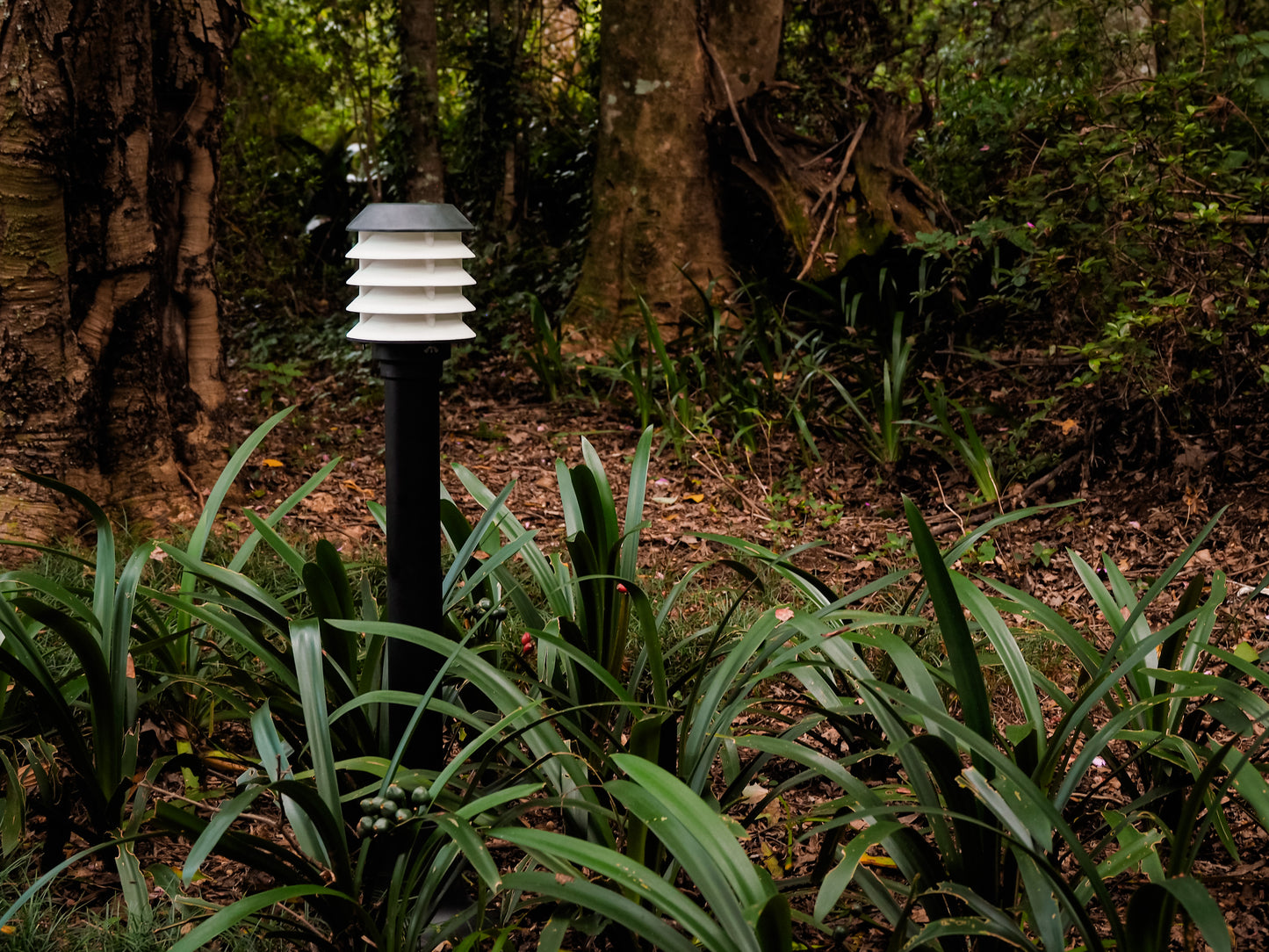 Elite Bollard