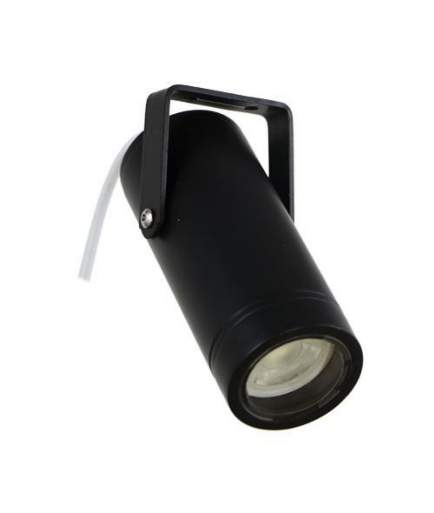 Andy Wall Spot Light
