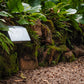 Wedge Outdoor Path Light